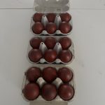 French Copper Black Maran Eggs