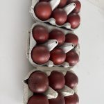 French Copper Black Maran Eggs